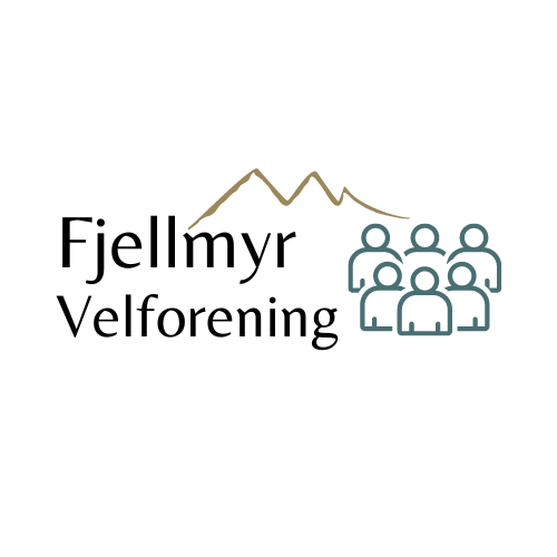 Lansering av nettsiden